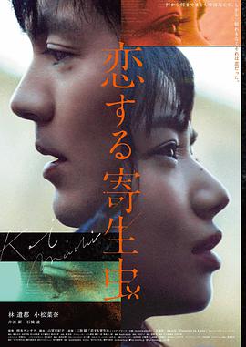 冬柏花开作品封面